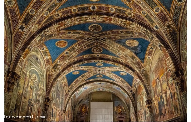 Affreschi del Pellegrinaio al Santa Maria della Scala - particolari