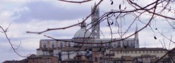 Zoom su Duomo da San Prospero