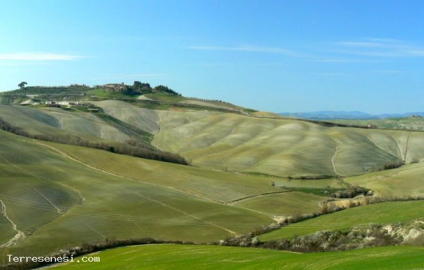 Tour N2 del chianti e delle crete senesi