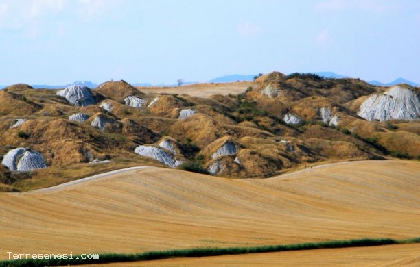 Tour N1 del chianti e delle crete senesi