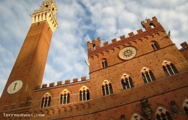 Palazzo comunale