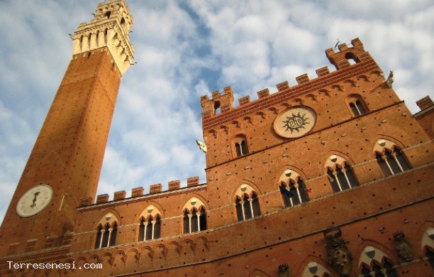 Palazzo comunale