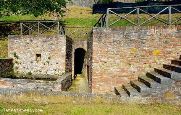 Fonte delle monache