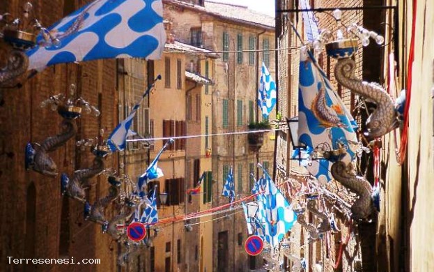 Festa di San Giuseppe