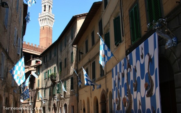 Contrada Capitana dell'Onda